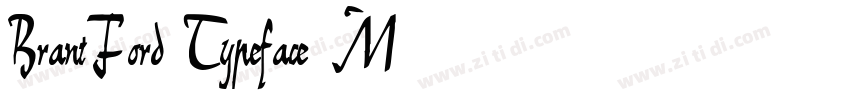 BrantFord Typeface M字体转换
